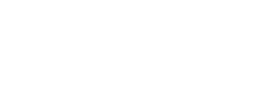 Felicitas Consultancy Services